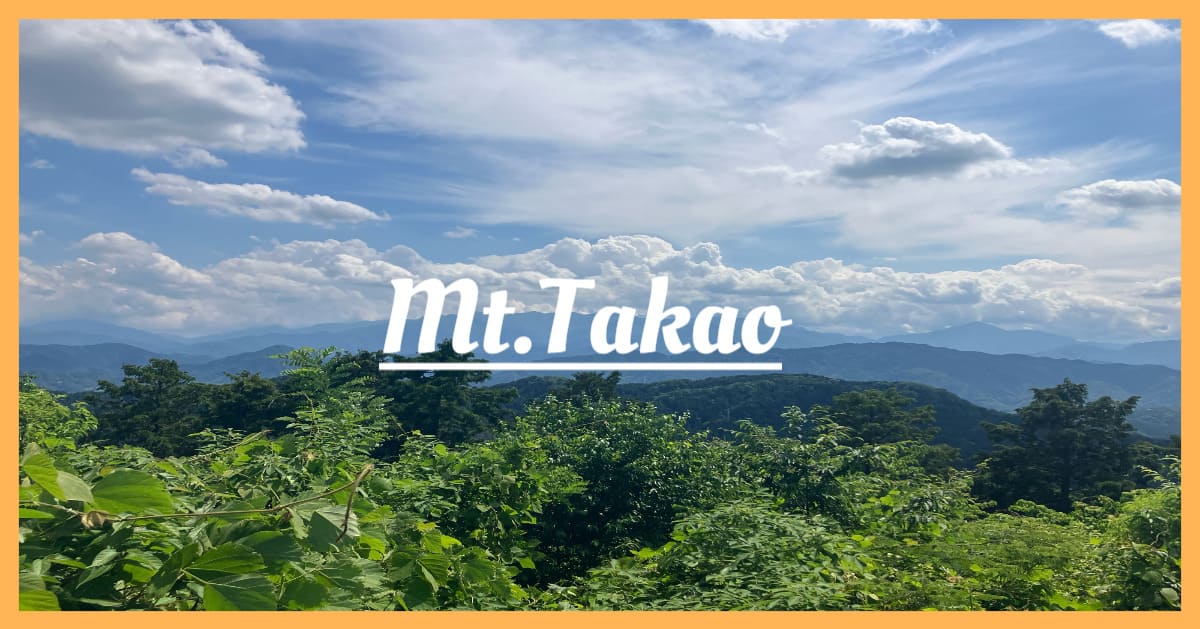 あなたが現在見ているのは 高尾山に登りました！