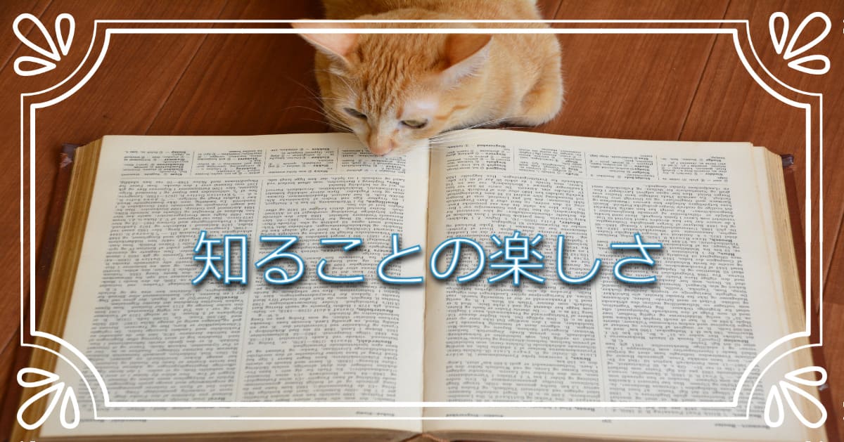 あなたが現在見ているのは 知ることの楽しさ