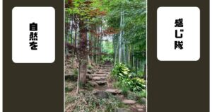 投稿についてもっと詳しく 自然を感じ隊
