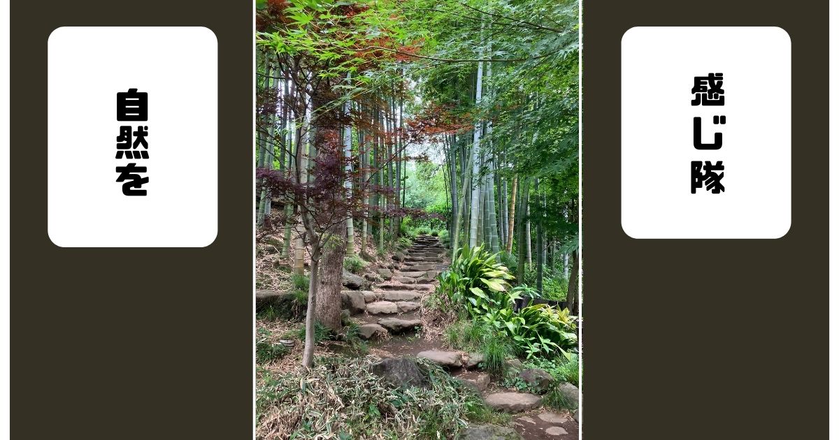 あなたが現在見ているのは 自然を感じ隊