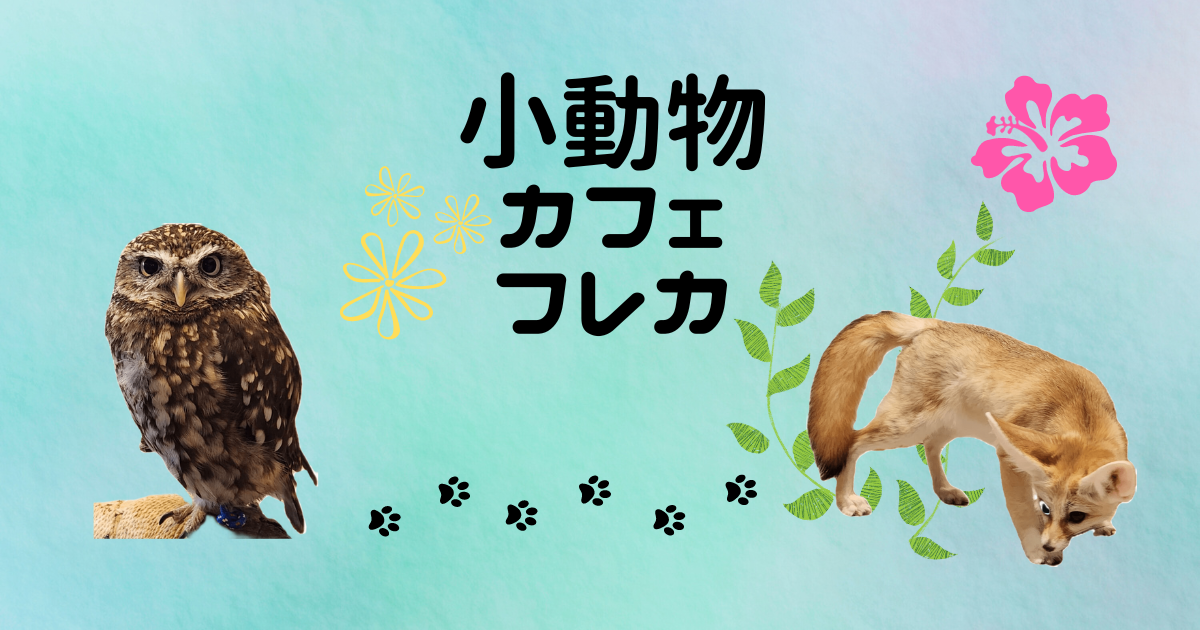 あなたが現在見ているのは 小動物カフェ　フレカ！！