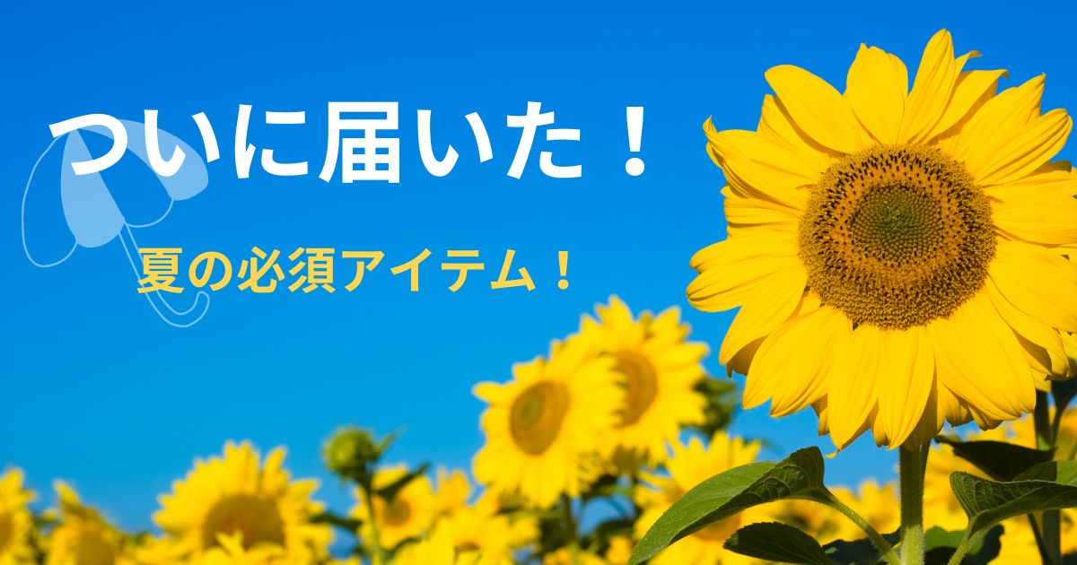 あなたが現在見ているのは ついに届いた！