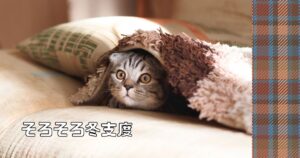 投稿についてもっと詳しく そろそろ冬支度⛄