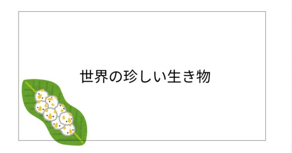 投稿についてもっと詳しく 世界の珍しい生き物