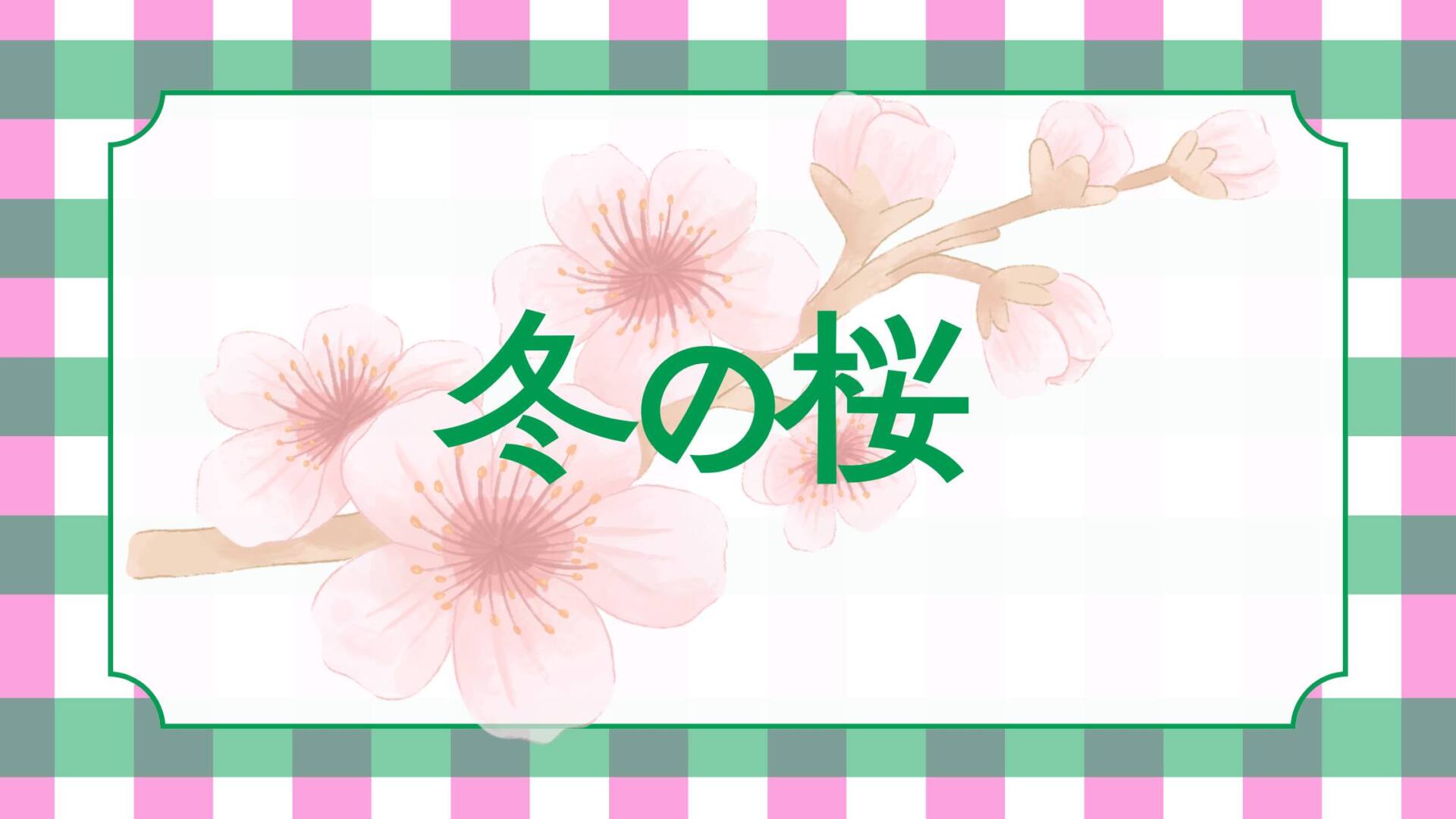 あなたが現在見ているのは 冬の桜